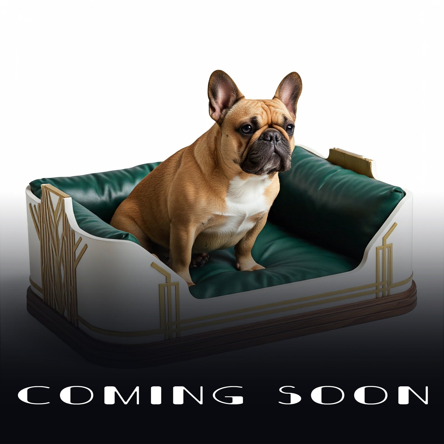 Deco Lounge Beds - Gatsby`s Pet Shop